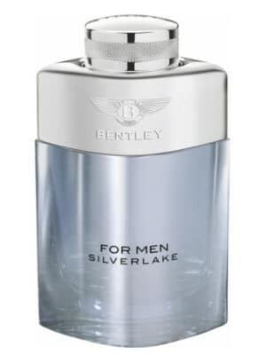 Bentley Silverlake Eau de Parfum 100 ml